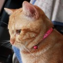 สมาชิกหมายเลข 1617939