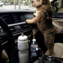 สมาชิกหมายเลข 3677544