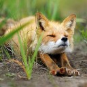 สมาชิกหมายเลข 4193212