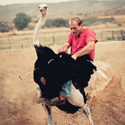 สมาชิกหมายเลข 5462425