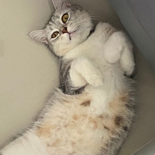 สมาชิกหมายเลข 9312052