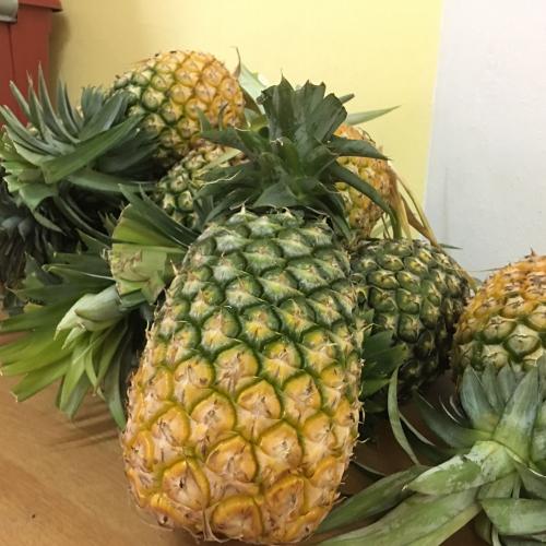 สมาชิกหมายเลข 4594753