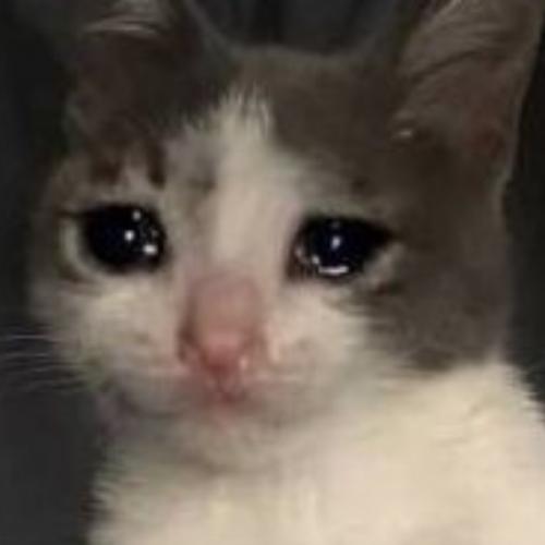 สมาชิกหมายเลข 2693985