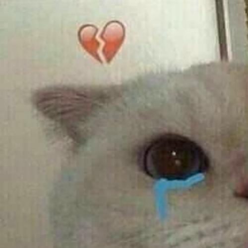 สมาชิกหมายเลข 3446732