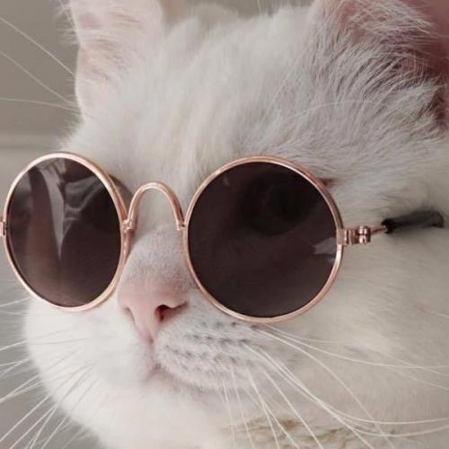 สมาชิกหมายเลข 5427278