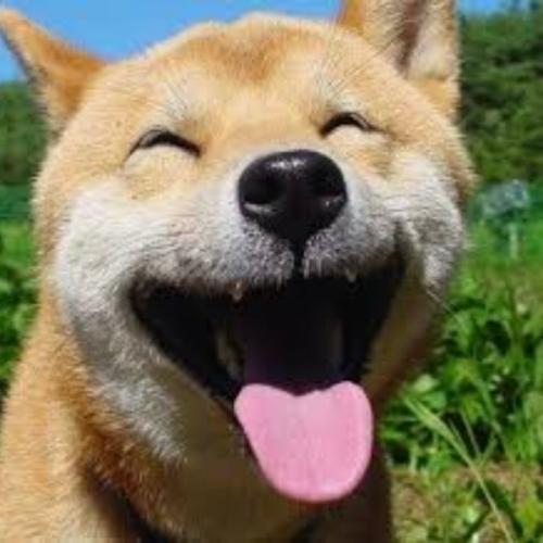 สมาชิกหมายเลข 5805215