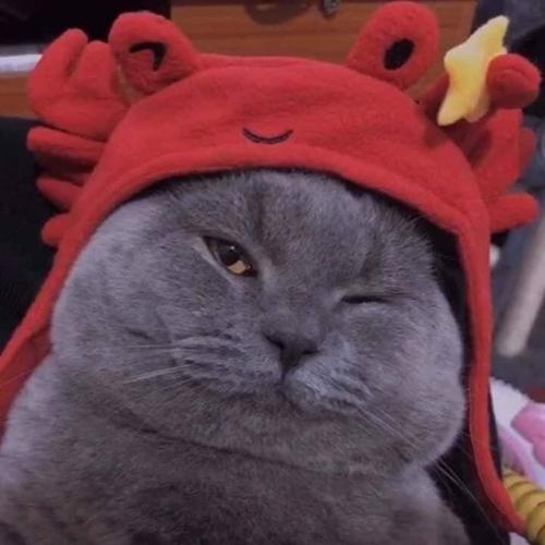 สมาชิกหมายเลข 5815007