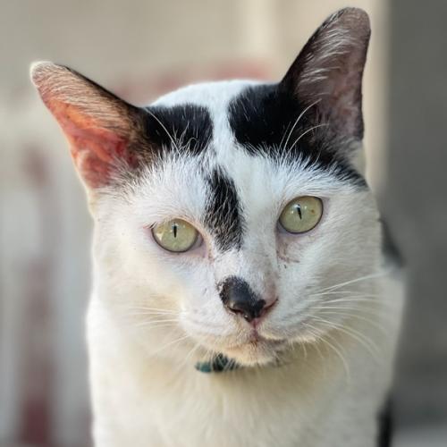 สมาชิกหมายเลข 3945807