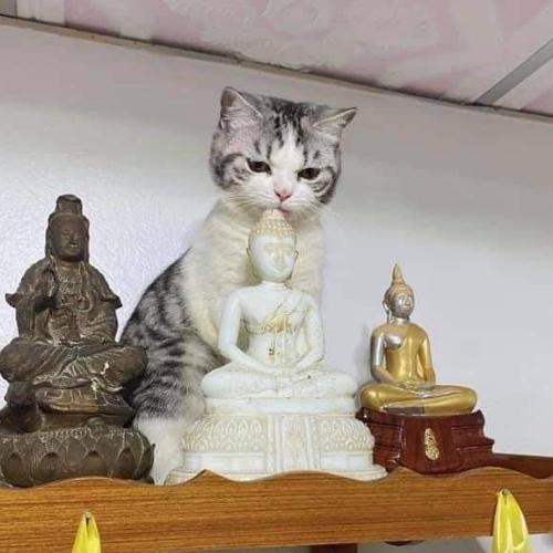 สมาชิกหมายเลข 5763210