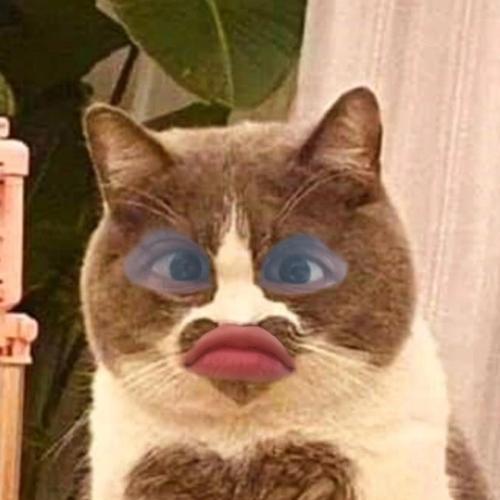 สมาชิกหมายเลข 6135535