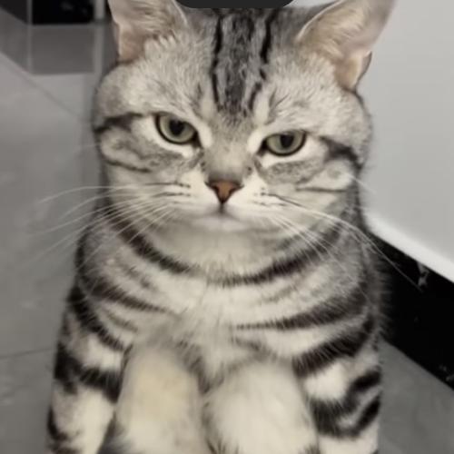 สมาชิกหมายเลข 7072234