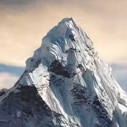 สมาชิกหมายเลข 7290026