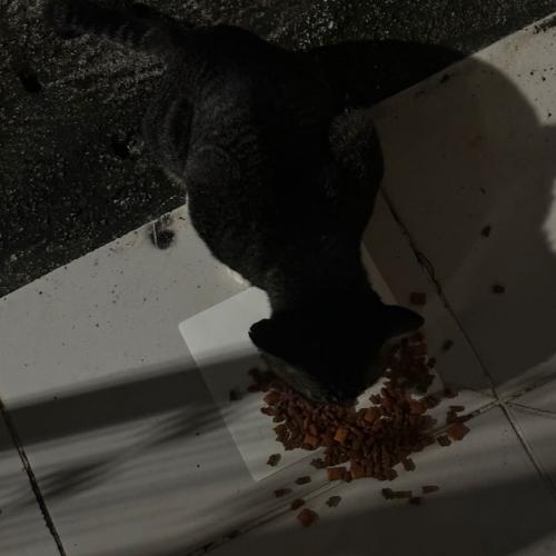 สมาชิกหมายเลข 7840827