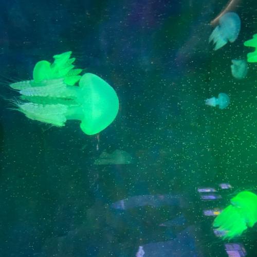 สมาชิกหมายเลข 1990643