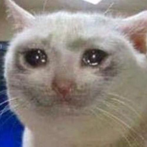 สมาชิกหมายเลข 8305386