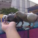 สมาชิกหมายเลข 4193333