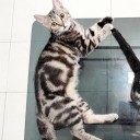 สมาชิกหมายเลข 4193359