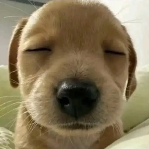 สมาชิกหมายเลข 9315887