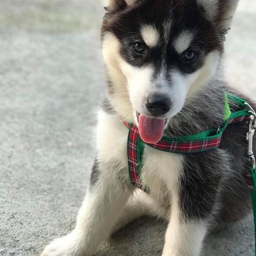 สมาชิกหมายเลข 3756989