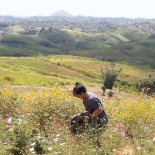 สมาชิกหมายเลข 5172843