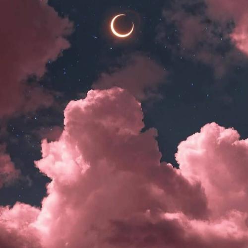 สมาชิกหมายเลข 5814025