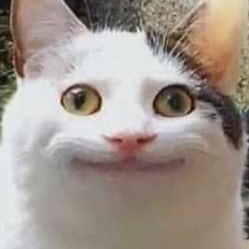 สมาชิกหมายเลข 5815238