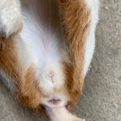 สมาชิกหมายเลข 5815243