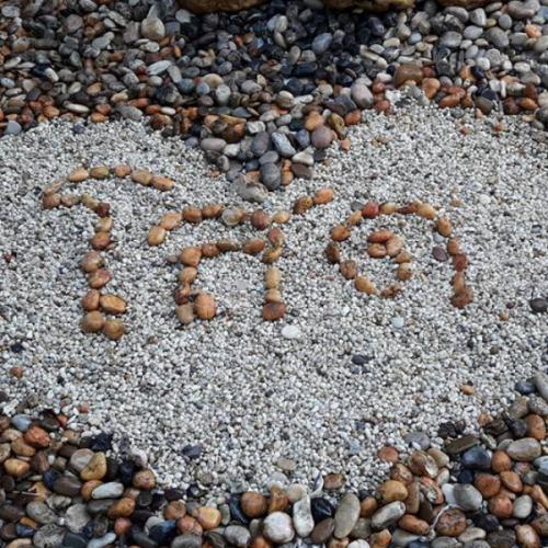 สมาชิกหมายเลข 5815368