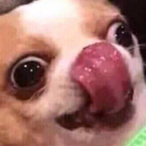 สมาชิกหมายเลข 5815477