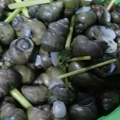 สมาชิกหมายเลข 4656270