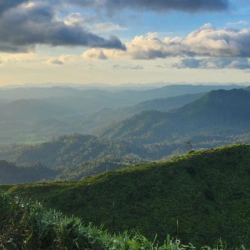 สมาชิกหมายเลข 2812013