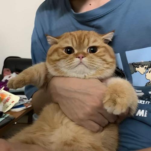 สมาชิกหมายเลข 7836557