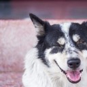 มีงูในรูนะ