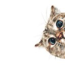 สมาชิกหมายเลข 3686284