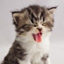 สมาชิกหมายเลข 3730616