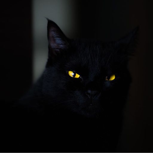 สาวน้อยอ้อยควั่น