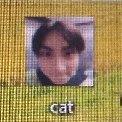 สมาชิกหมายเลข 9316457