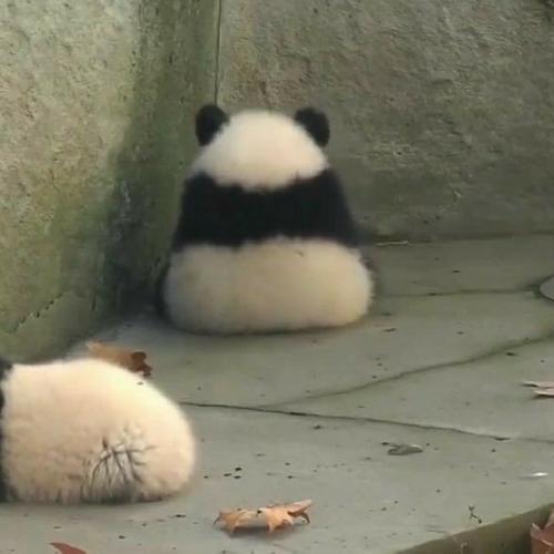 สมาชิกหมายเลข 4594658