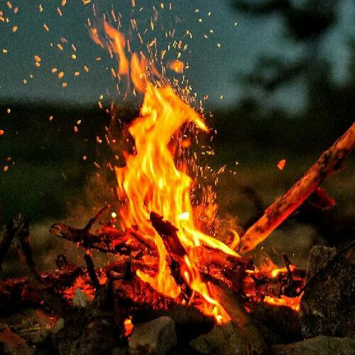 สมาชิกหมายเลข 4376011