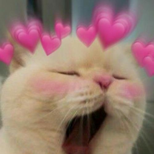 สมาชิกหมายเลข 5816303