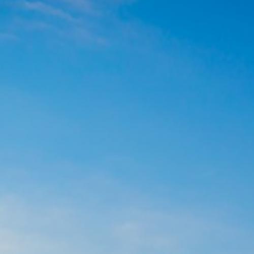 สมาชิกหมายเลข 6352529