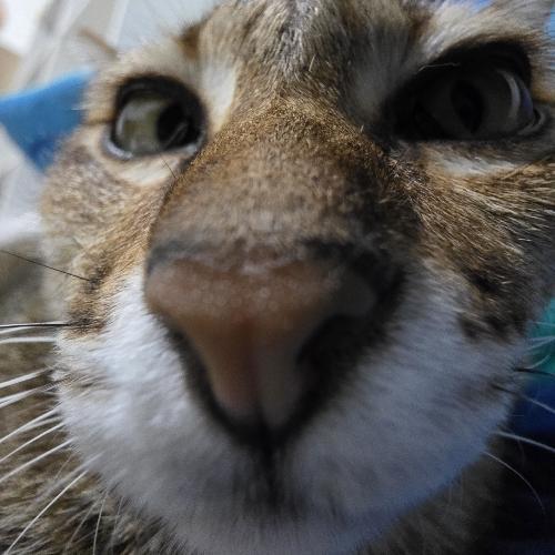 สมาชิกหมายเลข 3371426