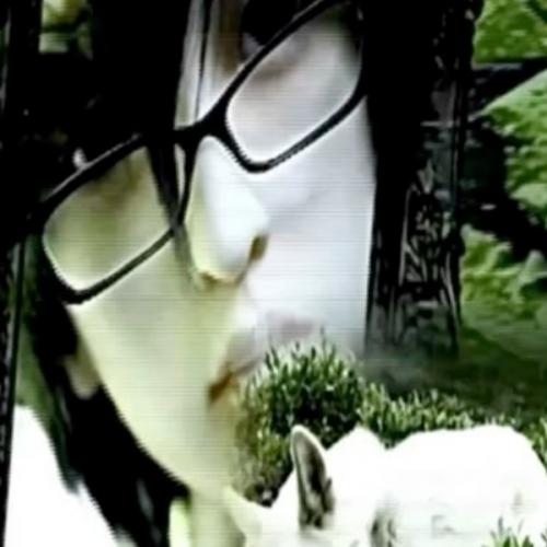 สมาชิกหมายเลข 7929567