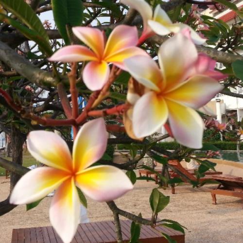 สมาชิกหมายเลข 8907839