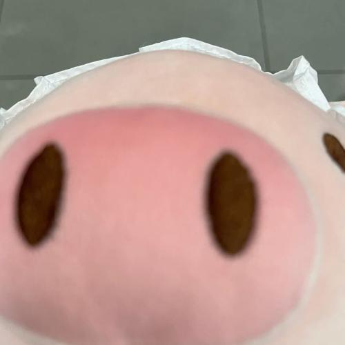 สมาชิกหมายเลข 8908169