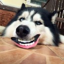 สมาชิกหมายเลข 1653111