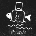 เก็บปลาเก๋า