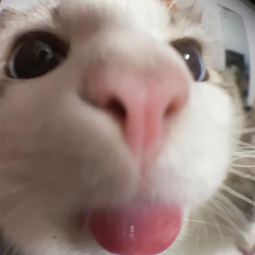 สมาชิกหมายเลข 7051226