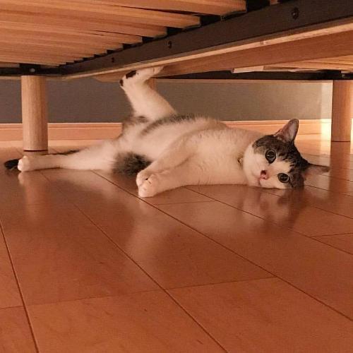 สมาชิกหมายเลข 1781496