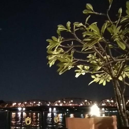 สมาชิกหมายเลข 4943334